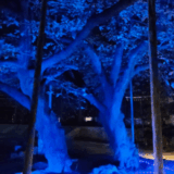 年末調整の季節となりました