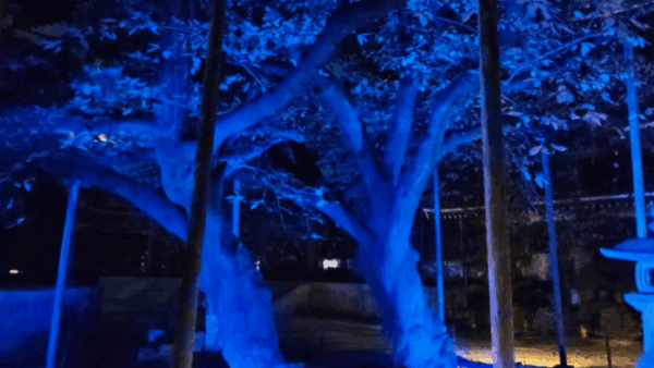 年末調整の季節となりました