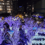 マイナ保険証と年末調整QA