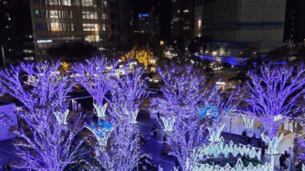 マイナ保険証と年末調整QA