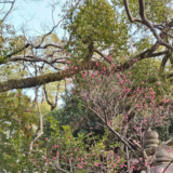 医療費のお知らせ～医療費控除あるある