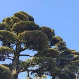 2025確定申告あるある～消費税・住民税